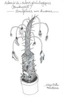 Sculpture